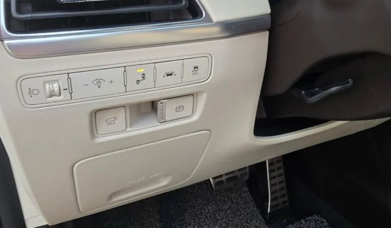 
								 هيونداي – Hyundai باليساد – Palisade ممتلئ									