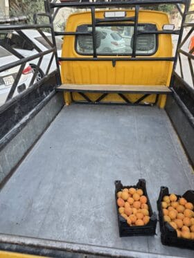 سوزوكي – Suzuki Reno