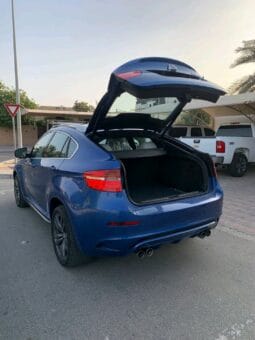 
										 بي ام دابيليو – BMW X6 ممتلئ									