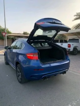 
										 بي ام دابيليو – BMW X6 ممتلئ									