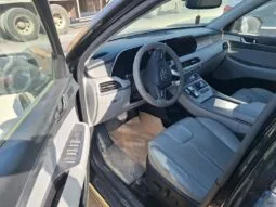 
										 هيونداي – Hyundai باليساد – Palisade ممتلئ									