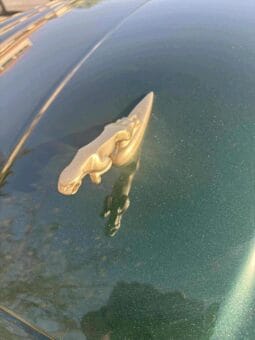 
										 جاغوار – Jaguar X-Type ممتلئ									