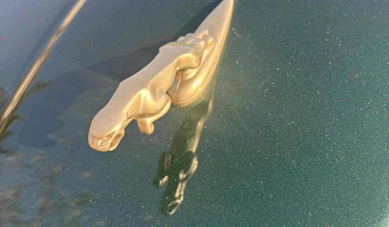 
								 جاغوار – Jaguar X-Type ممتلئ									