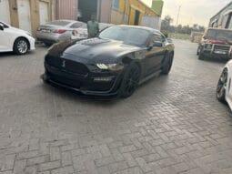 
										 فورد – Ford Mustang ممتلئ									