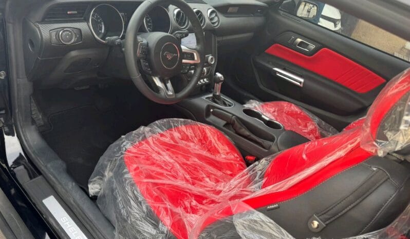 
								 فورد – Ford Mustang ممتلئ									