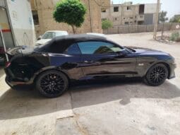 
										 فورد – Ford Mustang ممتلئ									