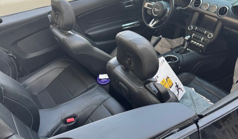 
								 فورد – Ford Mustang ممتلئ									