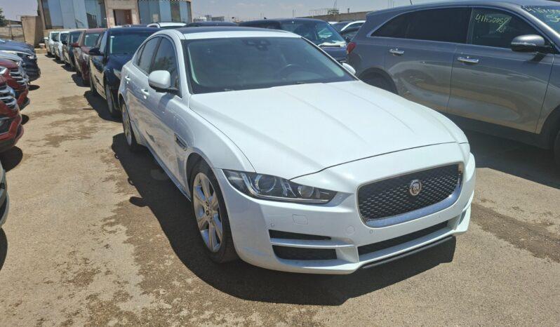 
								 مستعمل جاغوار – Jaguar XE ممتلئ									