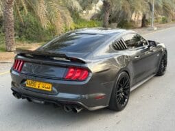 
										 فورد – Ford Mustang ممتلئ									