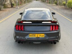 
										 فورد – Ford Mustang ممتلئ									
