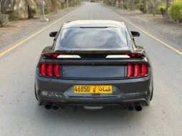 
										 فورد – Ford Mustang ممتلئ									