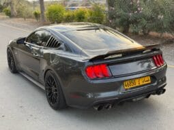 
										 فورد – Ford Mustang ممتلئ									