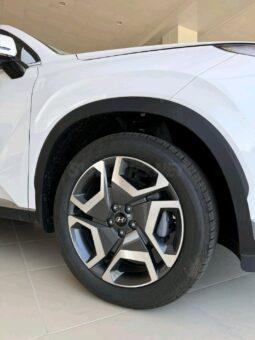 
										 هيونداي – Hyundai باليساد – Palisade ممتلئ									