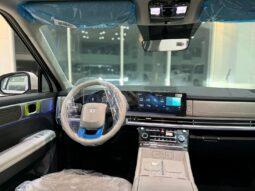 
										 هيونداي – Hyundai سانتافيه – Santafe ممتلئ									