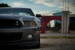 
										 فورد – Ford Mustang ممتلئ									