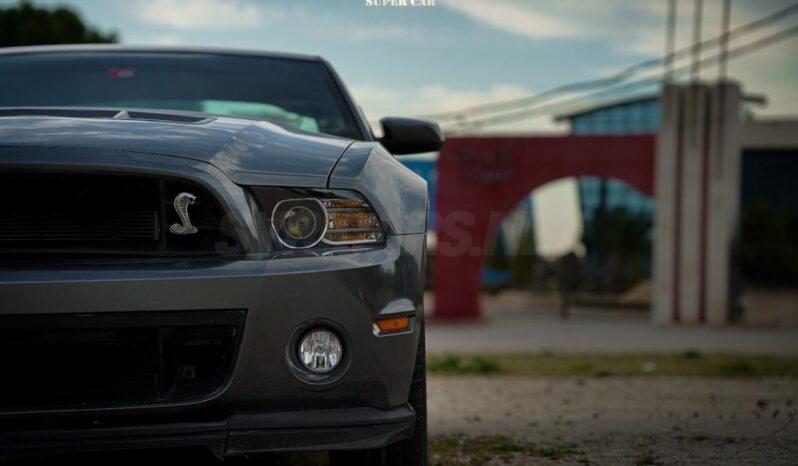 
								 فورد – Ford Mustang ممتلئ									