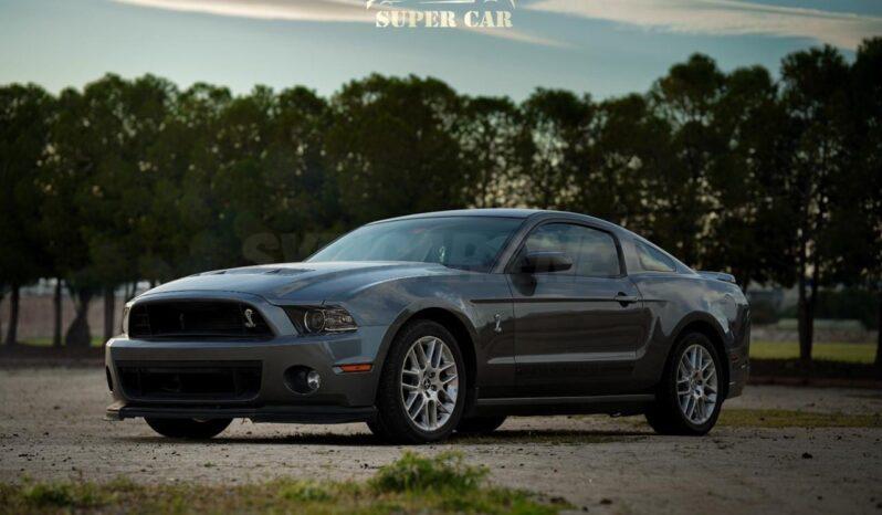 
								 فورد – Ford Mustang ممتلئ									