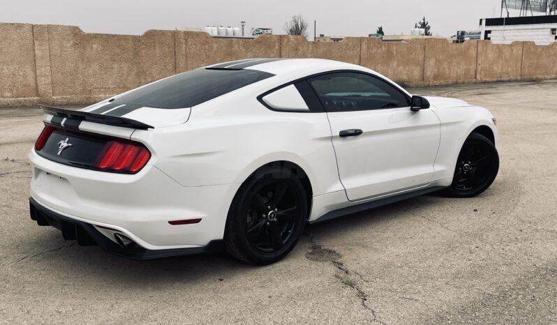 
								 فورد – Ford Mustang ممتلئ									