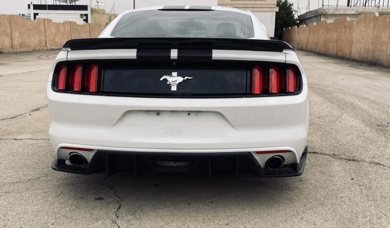 
								 فورد – Ford Mustang ممتلئ									
