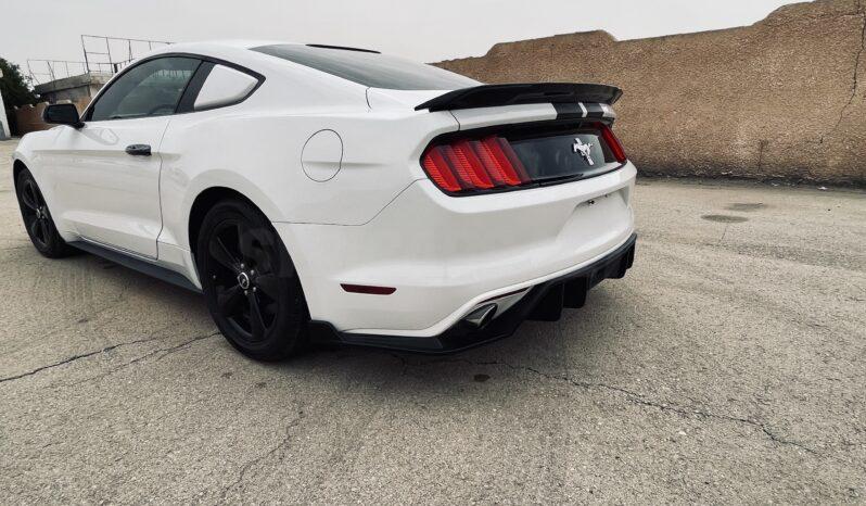 
								 فورد – Ford Mustang ممتلئ									