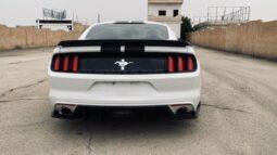 
										 فورد – Ford Mustang ممتلئ									