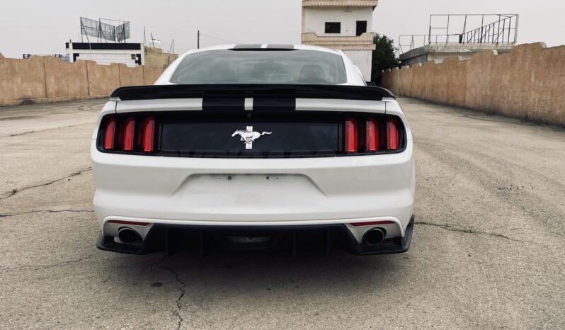 
								 فورد – Ford Mustang ممتلئ									