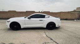 
										 فورد – Ford Mustang ممتلئ									