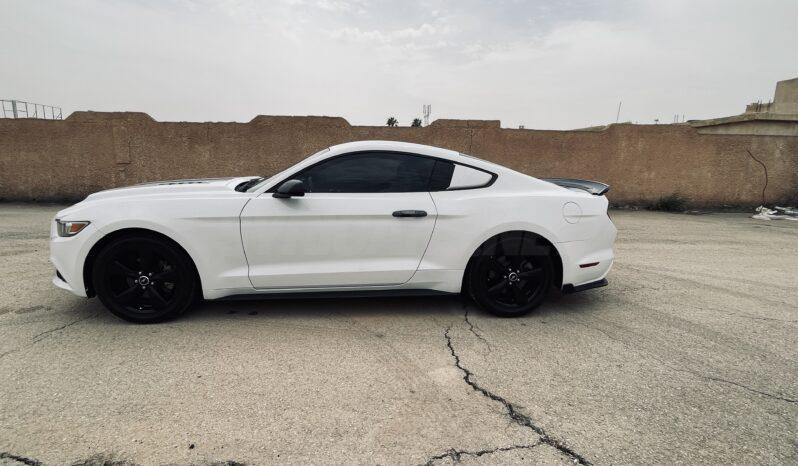 
								 فورد – Ford Mustang ممتلئ									