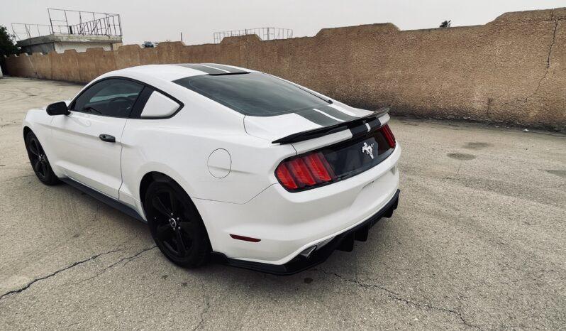 
								 فورد – Ford Mustang ممتلئ									