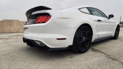 
										 فورد – Ford Mustang ممتلئ									