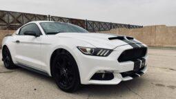 
										 فورد – Ford Mustang ممتلئ									