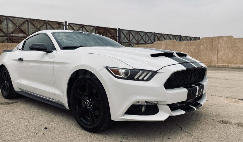 
								 فورد – Ford Mustang ممتلئ									