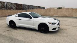 
										 فورد – Ford Mustang ممتلئ									