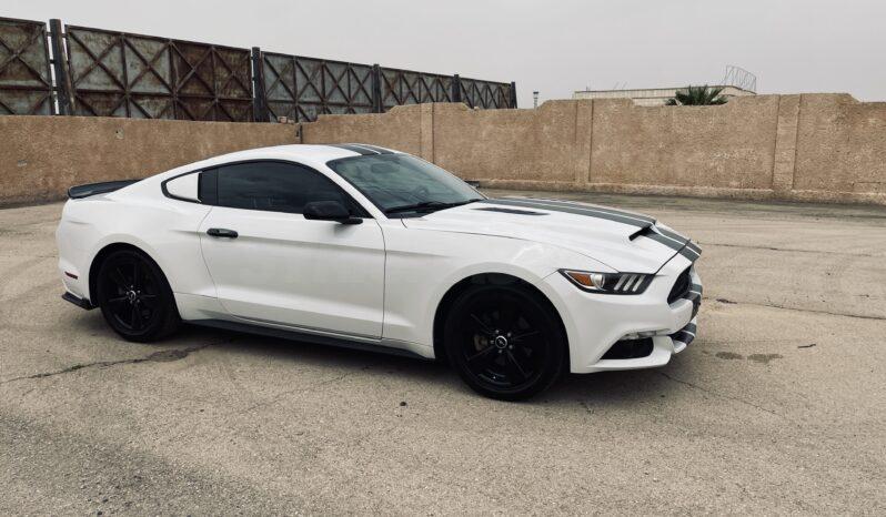 
								 فورد – Ford Mustang ممتلئ									
