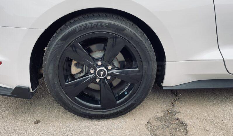 
								 فورد – Ford Mustang ممتلئ									