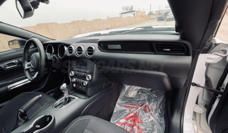 
								 فورد – Ford Mustang ممتلئ									
