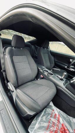
										 فورد – Ford Mustang ممتلئ									
