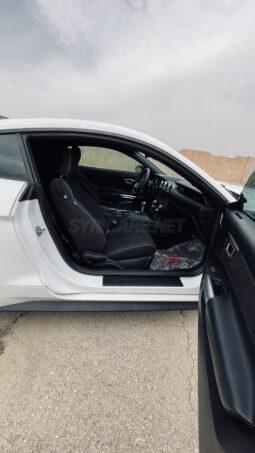 
										 فورد – Ford Mustang ممتلئ									