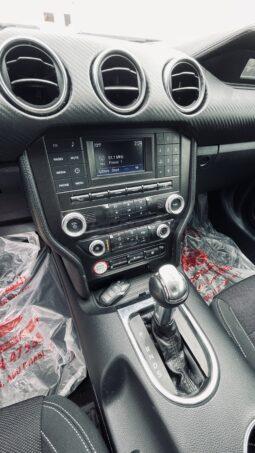 
										 فورد – Ford Mustang ممتلئ									