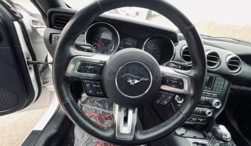 
								 فورد – Ford Mustang ممتلئ									
