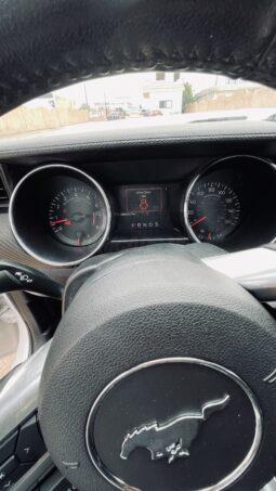 
										 فورد – Ford Mustang ممتلئ									
