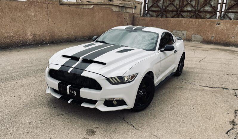 
								 فورد – Ford Mustang ممتلئ									