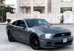
										 فورد – Ford Mustang ممتلئ									