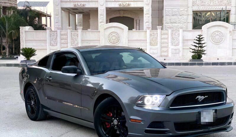 
								 فورد – Ford Mustang ممتلئ									