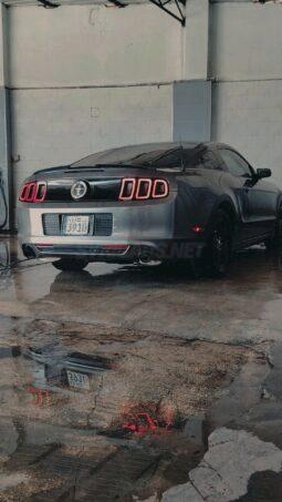 
										 فورد – Ford Mustang ممتلئ									