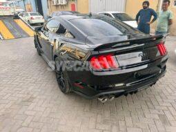 
										 فورد – Ford Mustang ممتلئ									