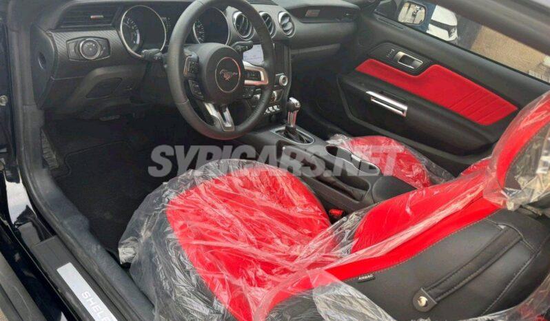 
								 فورد – Ford Mustang ممتلئ									