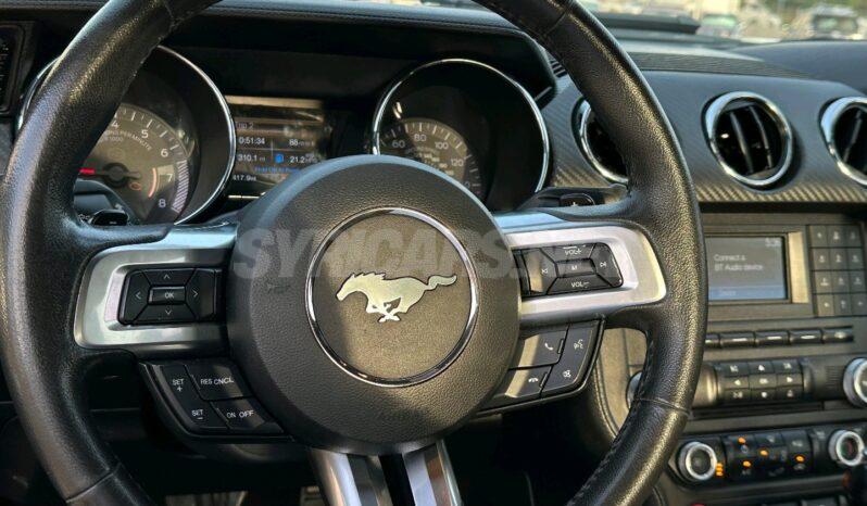 
								 فورد – Ford Mustang ممتلئ									