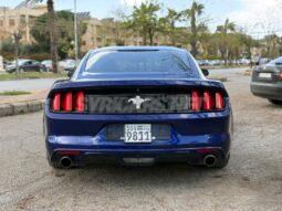 
										 فورد – Ford Mustang ممتلئ									