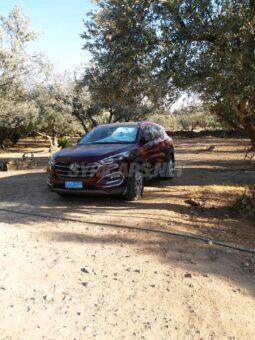
										 هيونداي – Hyundai توسان – Tucson ممتلئ									